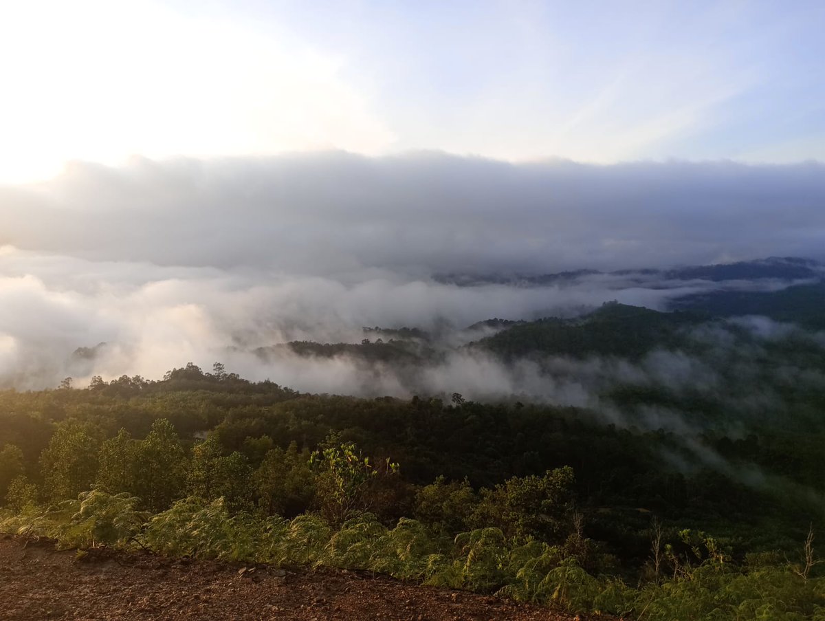 Mark Rutherford Trips tweet media