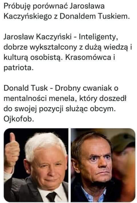 Andrzej tweet media
