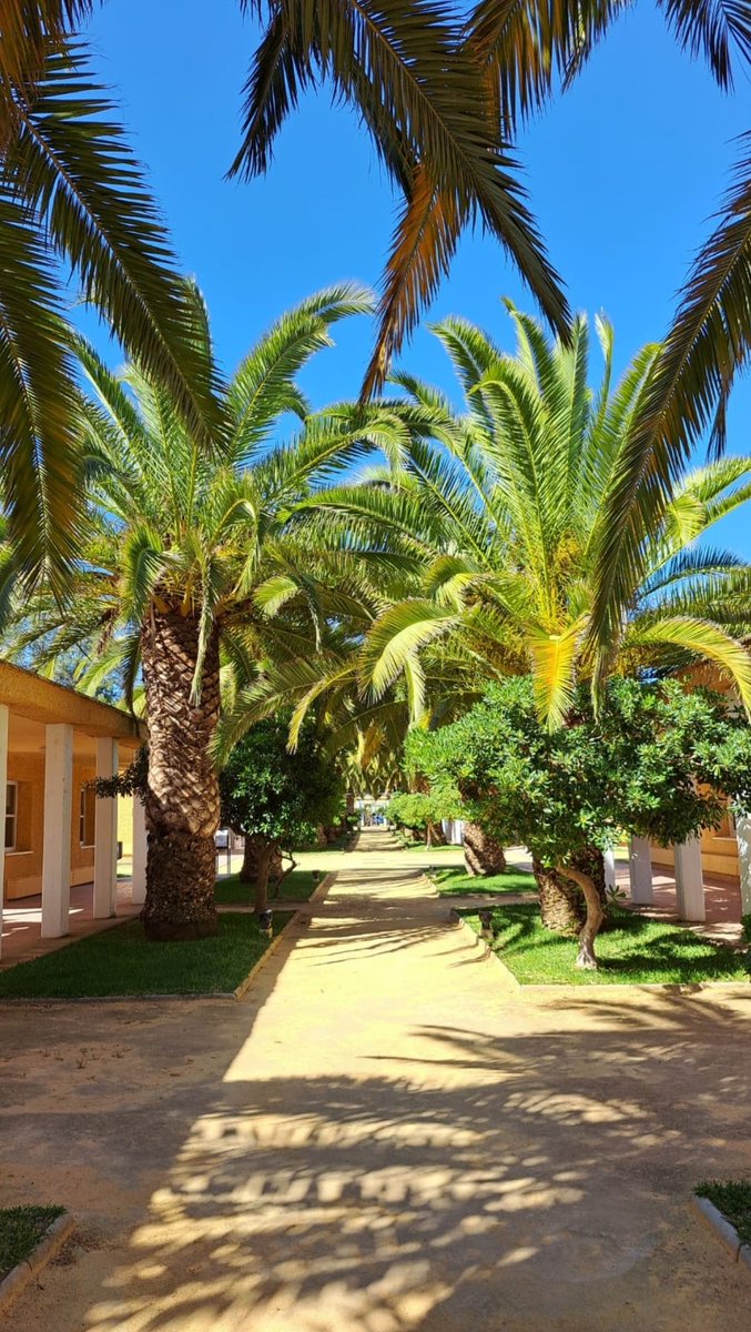 Carlos Carretero tweet media