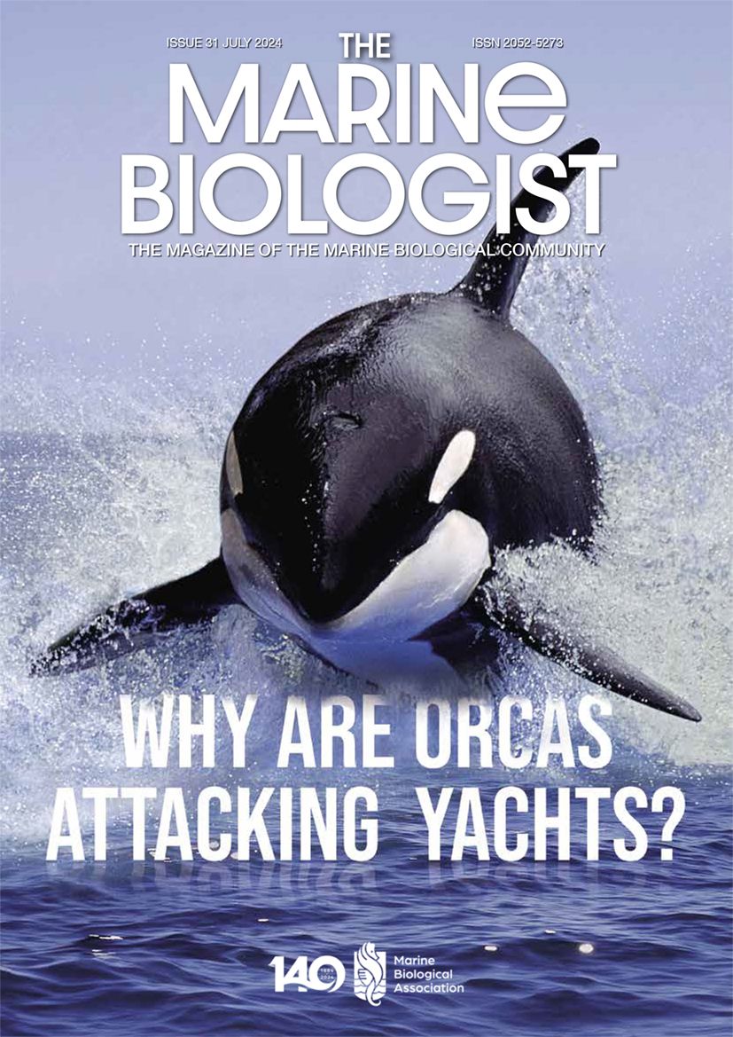 thembauk's tweet image. Check out the latest issue of #TheMarineBiologistMagazine 🌊
Immerse yourself in articles on:
🐬 Deadly #Dolphin encounters
🦈 #Conservation with teeth: working with anglers for a better future for #Sharks
🐋 #Orca interactions with sailing yachts
➡️ buff.ly/3Da62sc