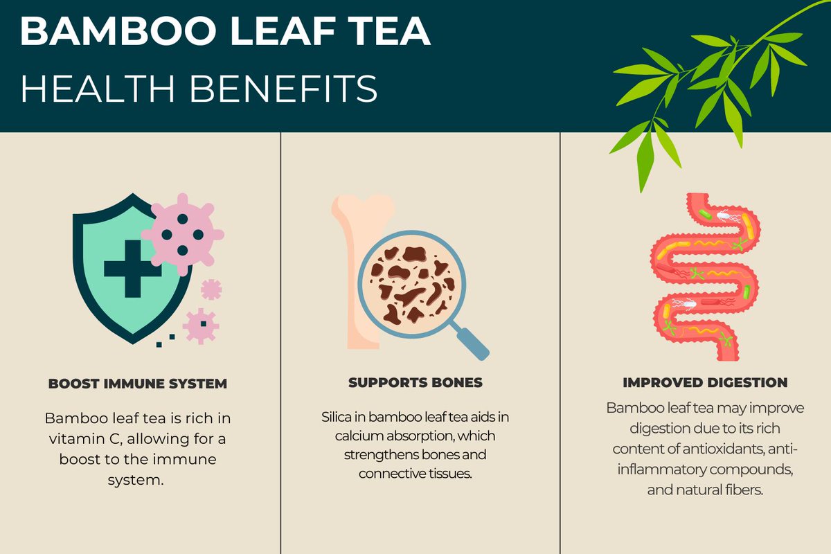 TeaProUK's tweet image. Elevate your health with bamboo leaf tea!

From an immune boost, strengthened bones and improved digestion, bamboo leaf tea supports health and wellbeing in many ways.

Explore our science backed-blog post to learn more: teapro.co.uk/bamboo-leaf-te…
#teapro #teahealth #bambooleaftea