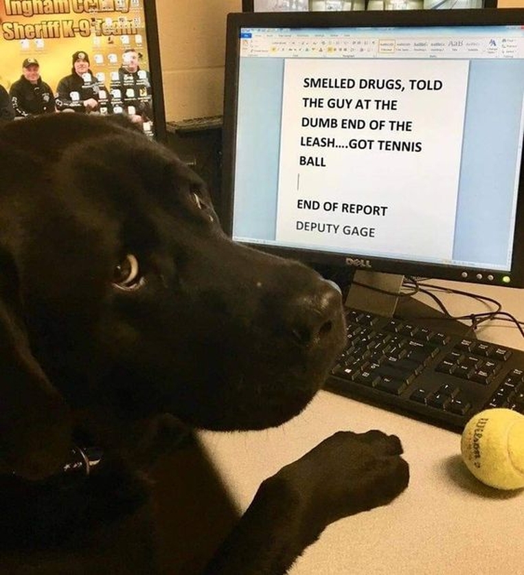 Dalbodog's tweet photo. Lol 🤣 https://t.co/f6vpyK8wuf