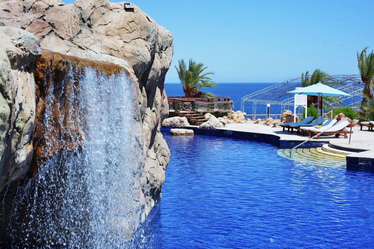 Sheraton_Sharm's tweet photo. Experience the essence of summer, beachside fun, and beautiful surroundings at Sheraton Sharm Hotel.
Check our latest offers and rates through our direct reservation number 0101 4310538 or email reservationssharmegypt@sheratonhotels.com 
#Summer #holiday https://t.co/RnJaXoyzI6