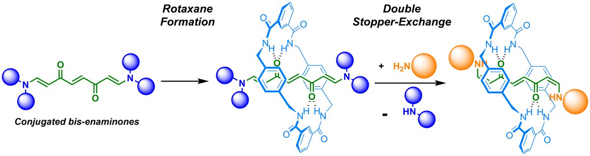 J Berna (@jbernicano) on Twitter photo Delighted to see <a href="/DrSibtay/">Dr Syed Sibtay Razi</a>'s work on the templating power of conjugated bis(enaminones) yielding Leigh-#rotaxanes and their transformation crystallized into a <a href="/CommsChem/">Communications Chemistry</a> paper. Congrats <a href="/socumu_lab/">SOC-UMU Lab</a> Behind-The-Paper | Research Communities by Springer Nature communities.springernature.com/posts/integrat… Delighted to see <a href="/DrSibtay/">Dr Syed Sibtay Razi</a>'s work on the templating power of conjugated bis(enaminones) yielding Leigh-#rotaxanes and their transformation crystallized into a <a href="/CommsChem/">Communications Chemistry</a> paper. Congrats <a href="/socumu_lab/">SOC-UMU Lab</a> Behind-The-Paper | Research Communities by Springer Nature communities.springernature.com/posts/integrat…