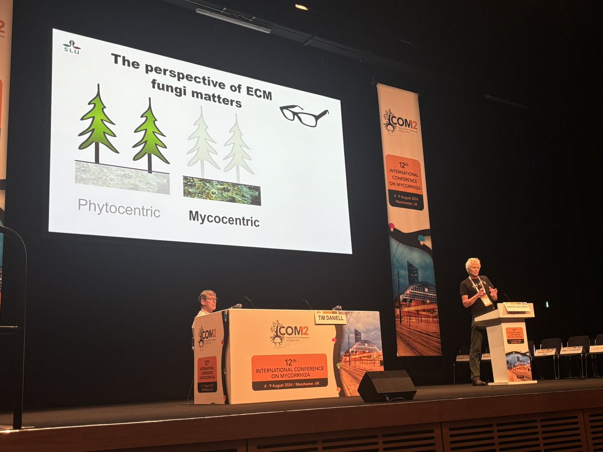 Thought provoking plenary talk by Anders Dahlberg, considering mycocentricity in ectomycorrhizal ecology and forest management #ICOM12