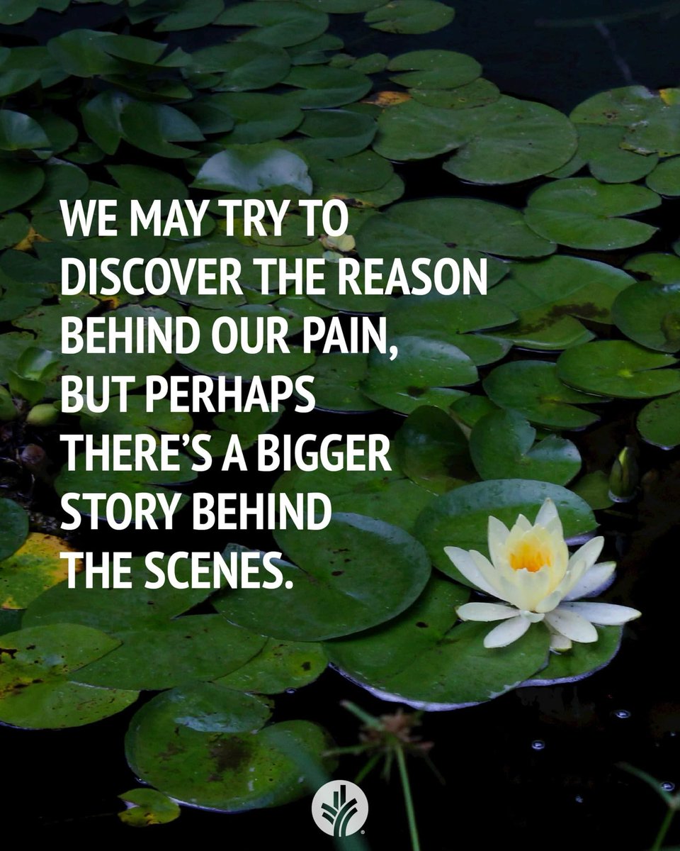 johnsonrn's tweet image. 