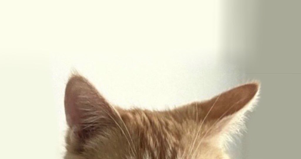 Ground Shatter💥👻 FRIGHTS IN TIGHT SPACES 👹 tweet media