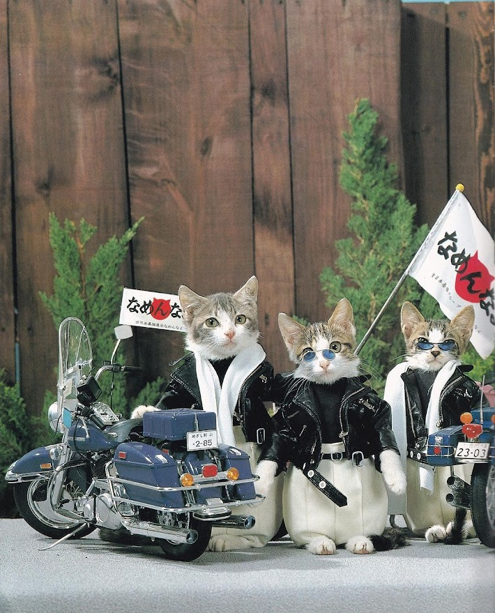 Nameneko なめ猫, Satoru Tsuda.
