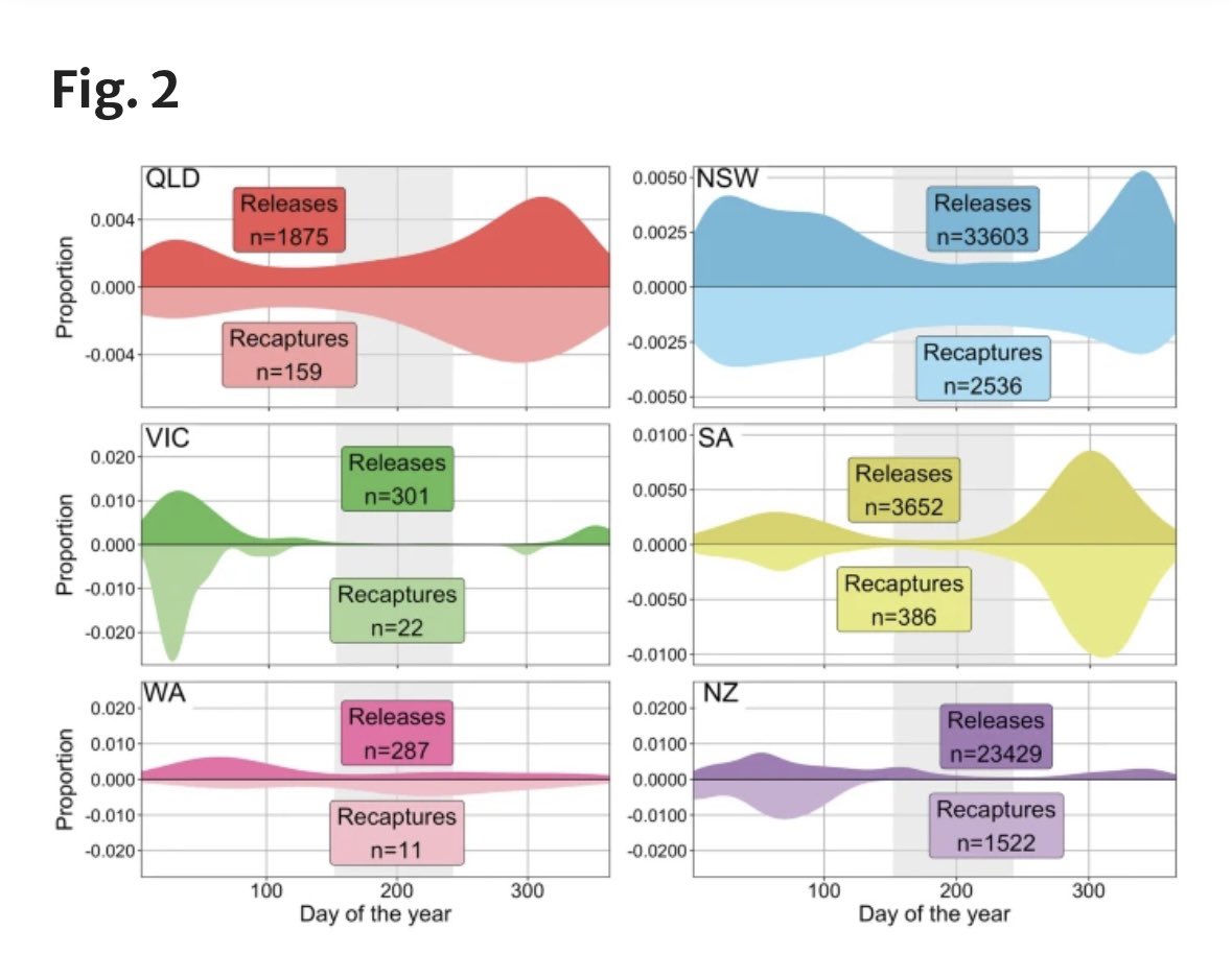 🚨Very proud to announce <a href="/belinda_goddard/">Belinda Goddard </a> first PhD paper using half a century of tag-recapture data to reveal stock delineation &amp; cross-jurisdictional connectivity of 
yellowtail kingfish in Australia &amp; New Zealand. Important implications for management link.springer.com/article/10.100…