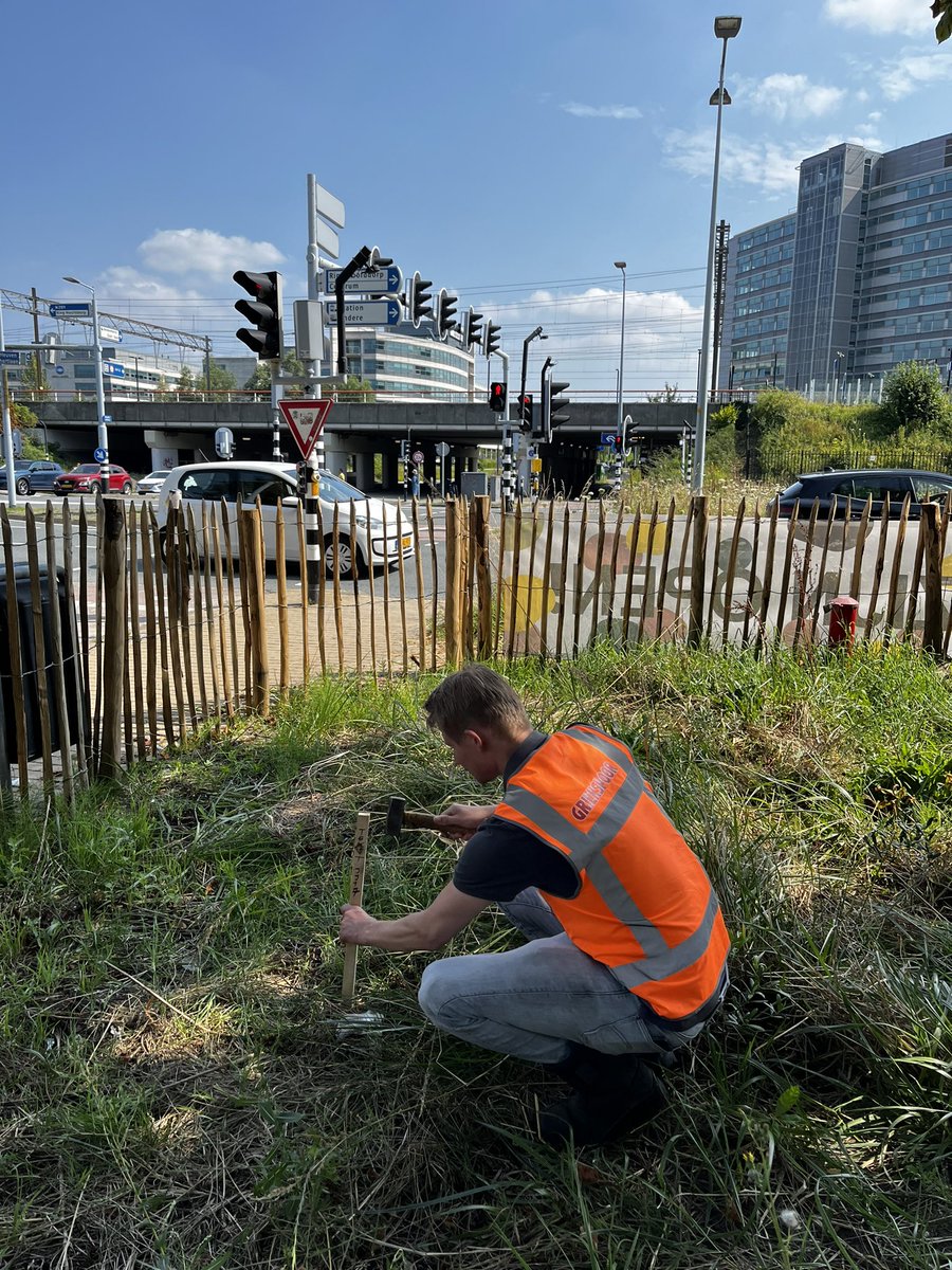 Er zijn weer 5 nieuwe verhalenpalen geplaatst in onze historierijke polder; VAART, PLEMP, BOM, PAAL en JJ17. 
De palen staan op plekken waar zich vroeger iets groots heeft afgespeeld, maar wat nu niet meer te zien is.  
Onthulling volgt later
Meer info 👉🏼 haarlemmermeermuseum.nl/25-verhalenpal…