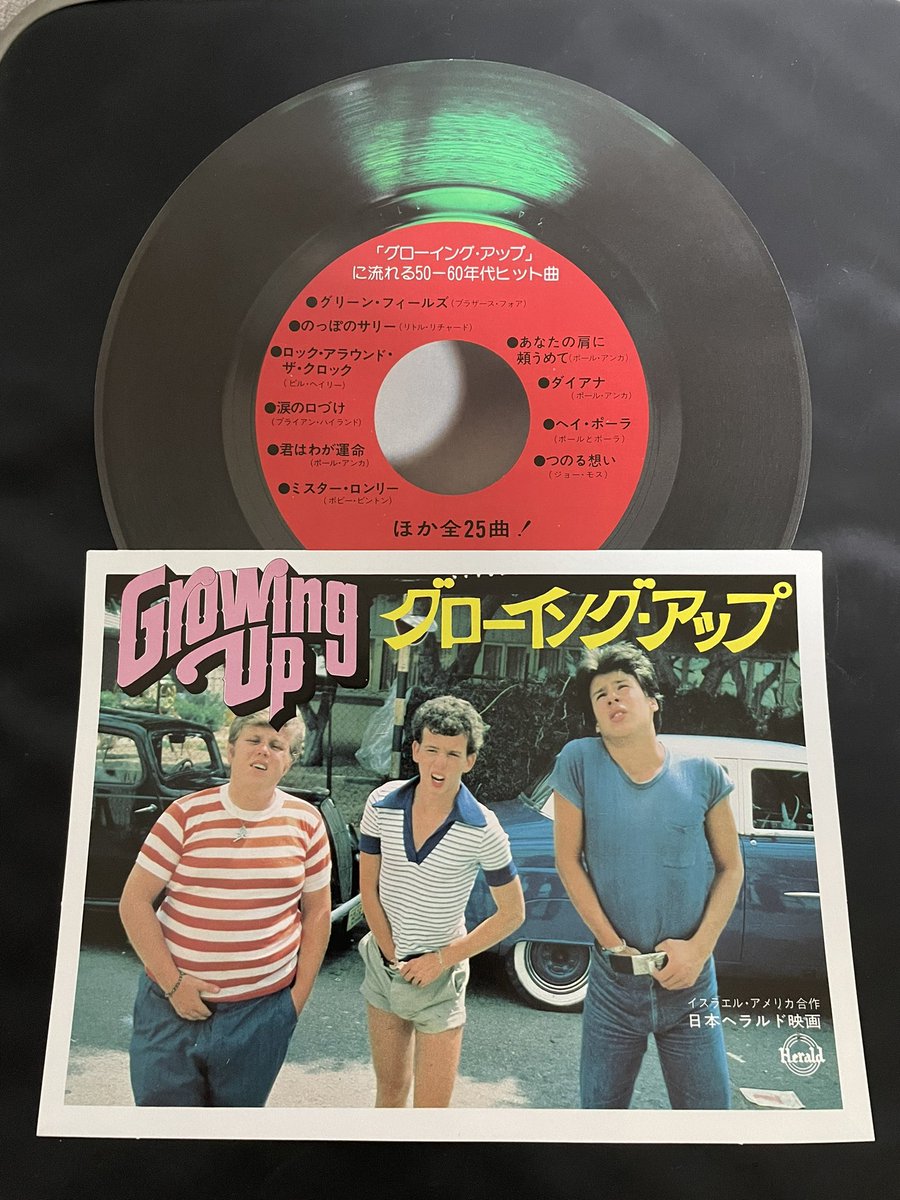 グローイングアップ #イスラエル映画 #変形チラシ 1979年公開作品 脳内