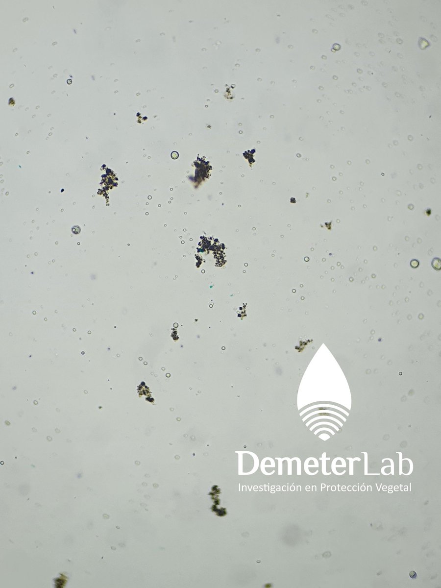 Picloram es una formulacion SL esto significa que en agua queda transparente. Si inestabilizamos el caldo picloram se cristaliza cambiando rotundamente la persistencia ambiental.
Estamos frente a un cambio profundo en la utilización de fitosanitarios!