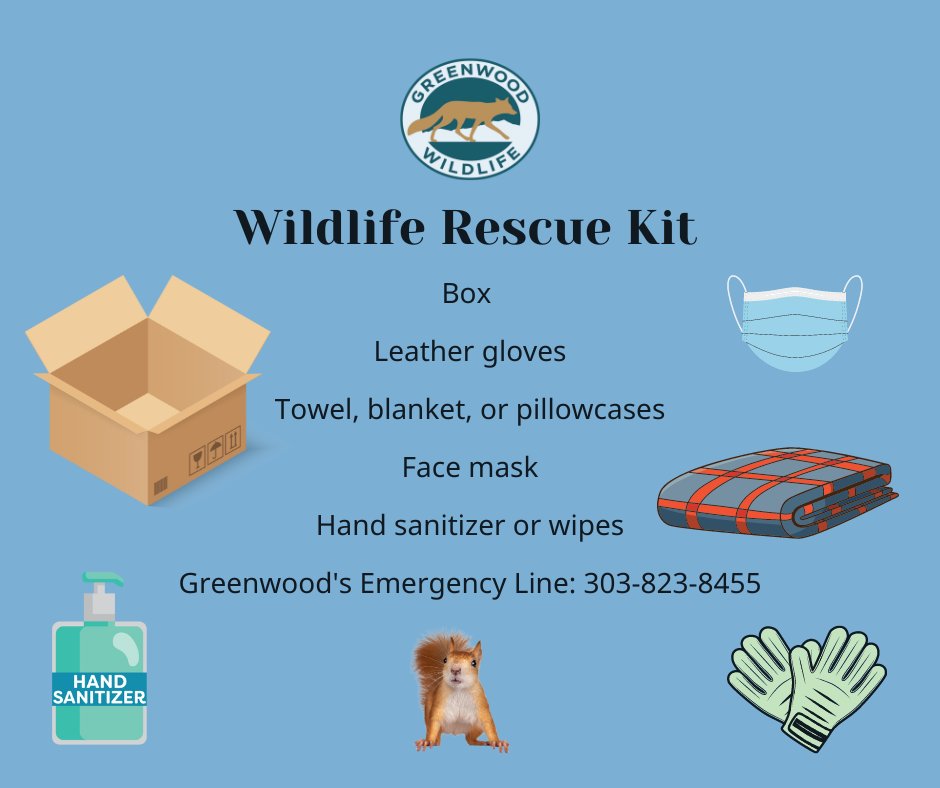Greenwood_CO's tweet photo. Recent wildfire activity reminds us all to be ready for an emergency. Keeping a wildlife rescue kit in your home and car can save a life. Download the Animal Help Now app or save our number in your phone in case an emergency arises. 303-823-8455.
#GreenwoodWildlife #RescueKit https://t.co/AiSZ24eqaz