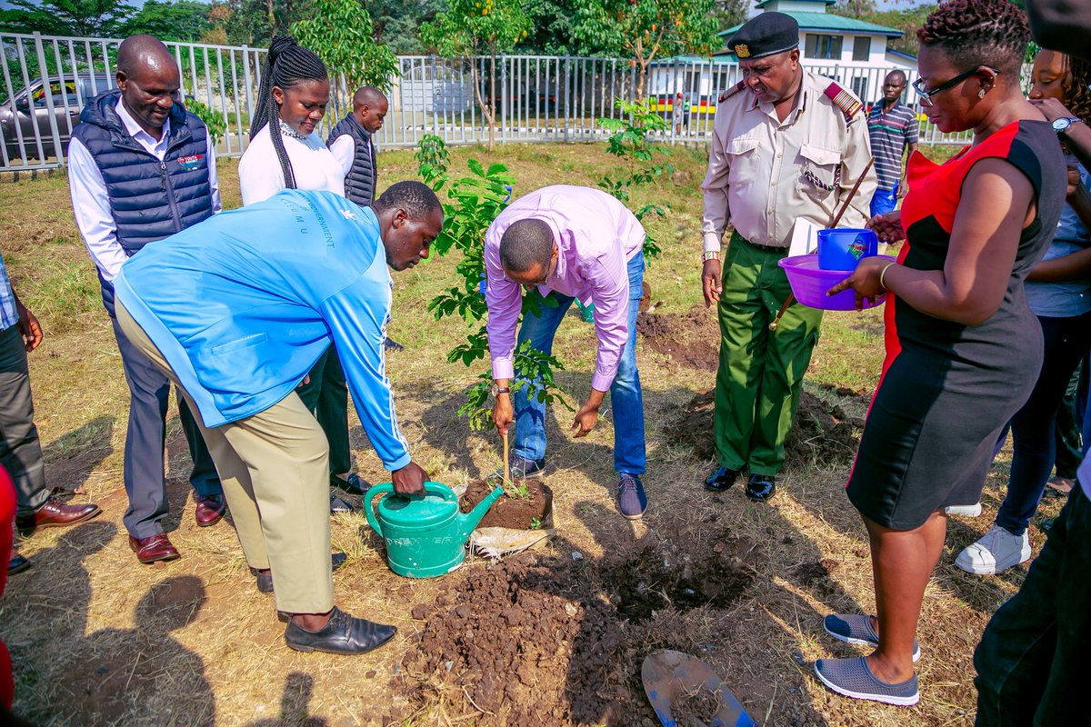 NYC_YouthVoice's tweet photo. Today,NYC CEO @MargaretKiogora and PS @IsmailMaalim19 along with other dignitaries, launched National Youth Week in Kisumu.The event included a courtesy call to the Governor's office and a ceremonial tree planting at Jomo Kenyatta International  Stadium.
#NYCAmplifyingYouthVoice https://t.co/BBsg8ZDdSd