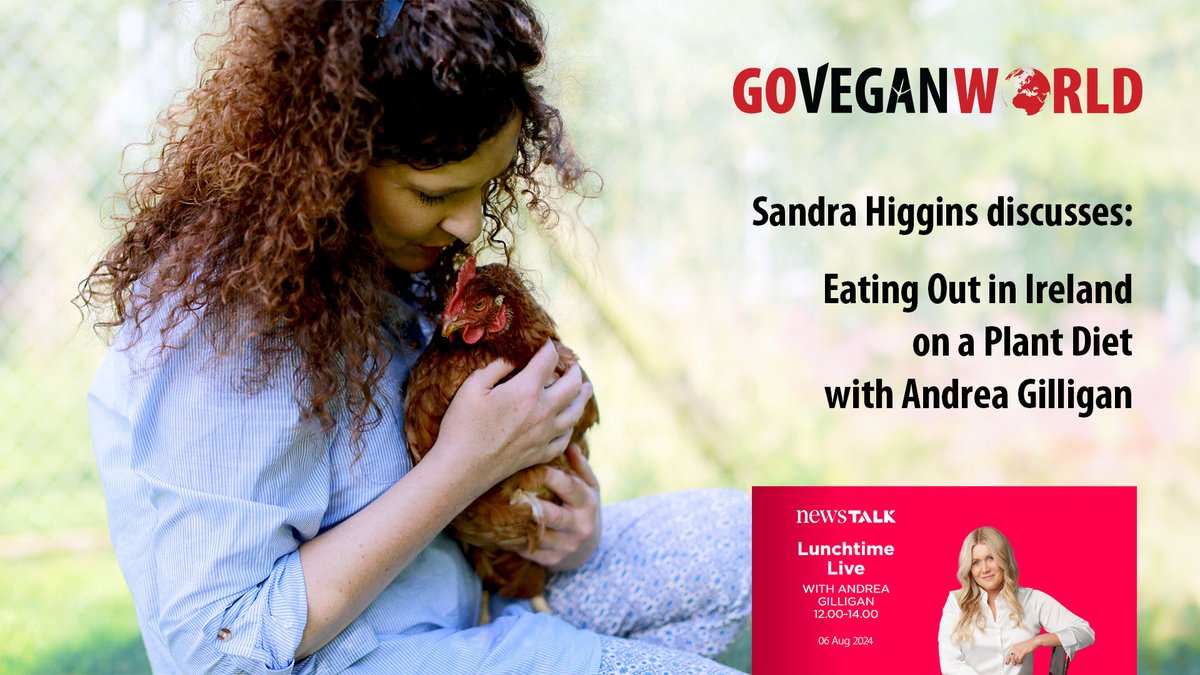 Eating Out on a Plant Diet in Ireland: <a href="/andreagilligan/">Andrea Gilligan</a> , <a href="/LunchtimeLiveNT/">Lunchtime Live</a> chats to Sandra Higgins of <a href="/GoVeganWorld2/">Go Vegan World</a>  

goveganworld.com/eating-out-on-…