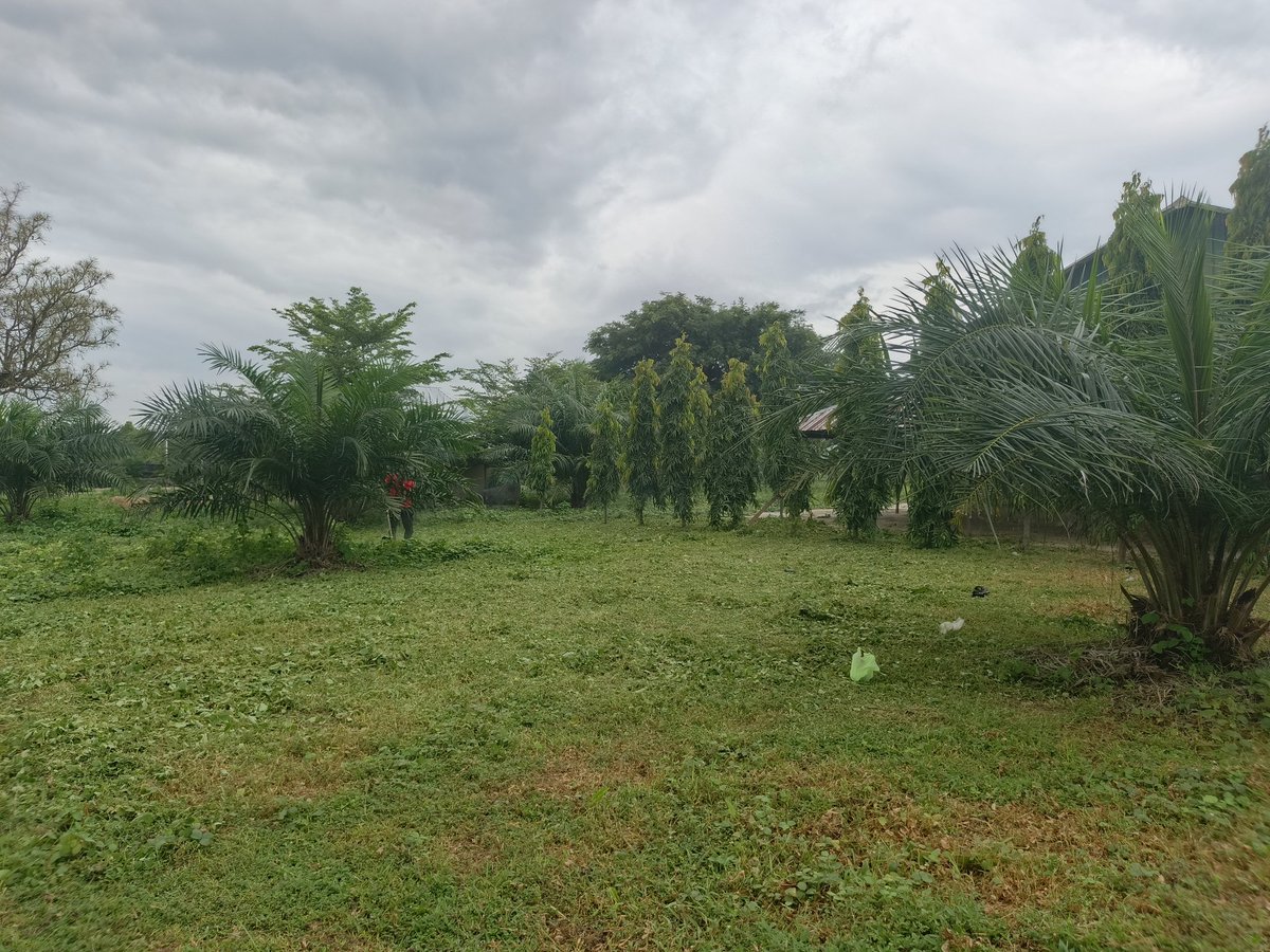 AGBADOVOLUTION TECHNOLOGIES tweet media