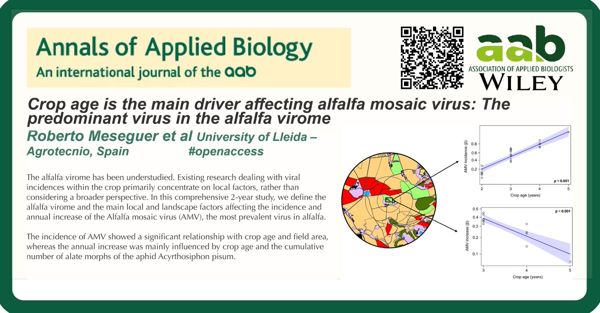 Annals of Applied Biology (@annalsapplbio) on Twitter photo Crop age is the main driver affecting alfalfa mosaic virus: The predominant virus in the alfalfa virome 🦠
<a href="/Agrotecnio/">Agrotecnio Research Centre</a> <a href="/wileyplantsci/">Wiley Plant Science</a> <a href="/AABiologists/">AAB @aabiologists.bsky.social</a>
onlinelibrary.wiley.com/doi/10.1111/aa… Crop age is the main driver affecting alfalfa mosaic virus: The predominant virus in the alfalfa virome 🦠
<a href="/Agrotecnio/">Agrotecnio Research Centre</a> <a href="/wileyplantsci/">Wiley Plant Science</a> <a href="/AABiologists/">AAB @aabiologists.bsky.social</a>
onlinelibrary.wiley.com/doi/10.1111/aa…