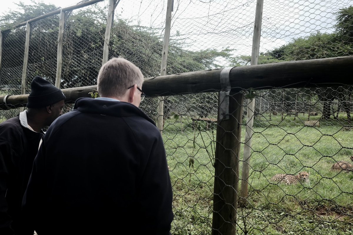 Visited <a href="/BornFreeFDN/">Born Free Foundation</a>’s Ensessa Kotteh sanctuary in Oromia this morning. 

This UK organisation and its Ethiopian staff are doing amazing work, caring for orphaned and rescued wild animals.  

Proud to witness another great example of the UK’s strong partnership with Ethiopia.