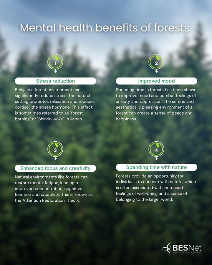 UN Biodiversity (@unbiodiversity) on Twitter photo 🌳 #DidYouKnow that forests offer more than just scenic views? They're also essential for our health and happiness!
Here are surprising mental and physical benefits of immersing yourself in the lungs of our planet.
via <a href="/BESNet_UNDP/">BES-Net (Biodiversity and Ecosystems Network)</a> 🌳 #DidYouKnow that forests offer more than just scenic views? They're also essential for our health and happiness!
Here are surprising mental and physical benefits of immersing yourself in the lungs of our planet.
via <a href="/BESNet_UNDP/">BES-Net (Biodiversity and Ecosystems Network)</a>
