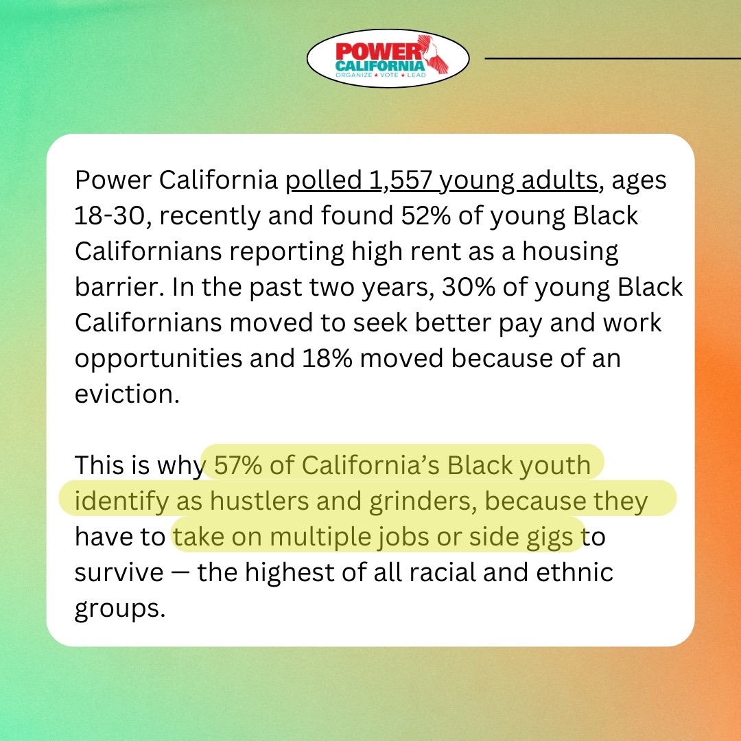 Bay Rising tweet media