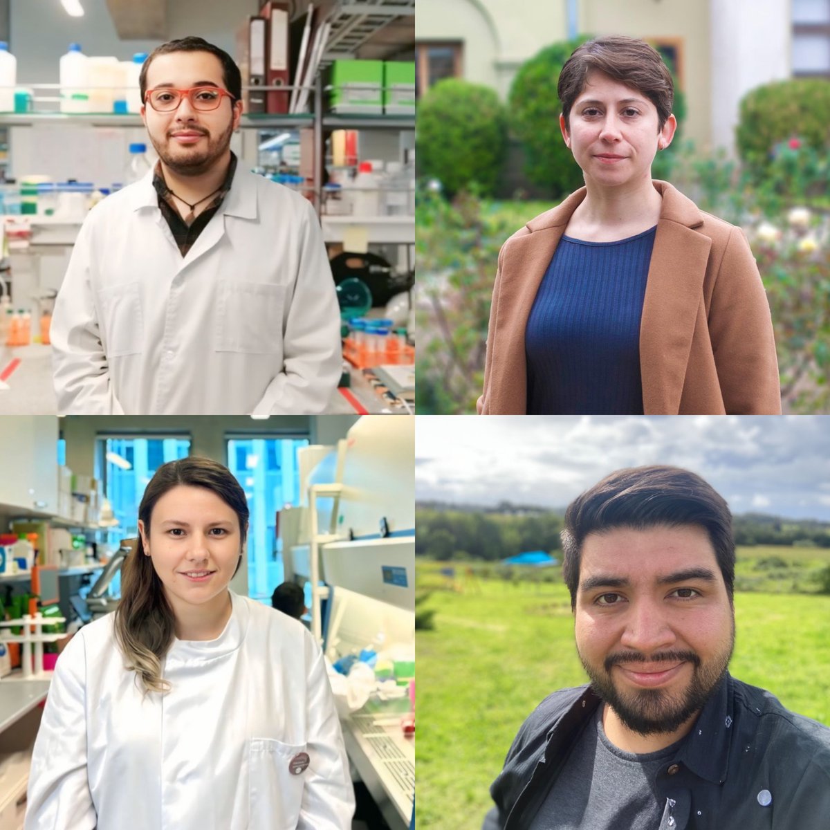 USanSebastian's tweet photo. Cursaron sus doctorados en la #USS y hoy tienen posiciones postdoctorales en prestigiosas instituciones extranjeras 👏🏻

¡Felicitaciones a los Dres. y Dras. Cristóbal, Adely, Catalina y Cristián! ¿Dónde están trabajando y qué están investigando? ➡️ https://t.co/pKYdrrMHYz https://t.co/rVg81hgfSt