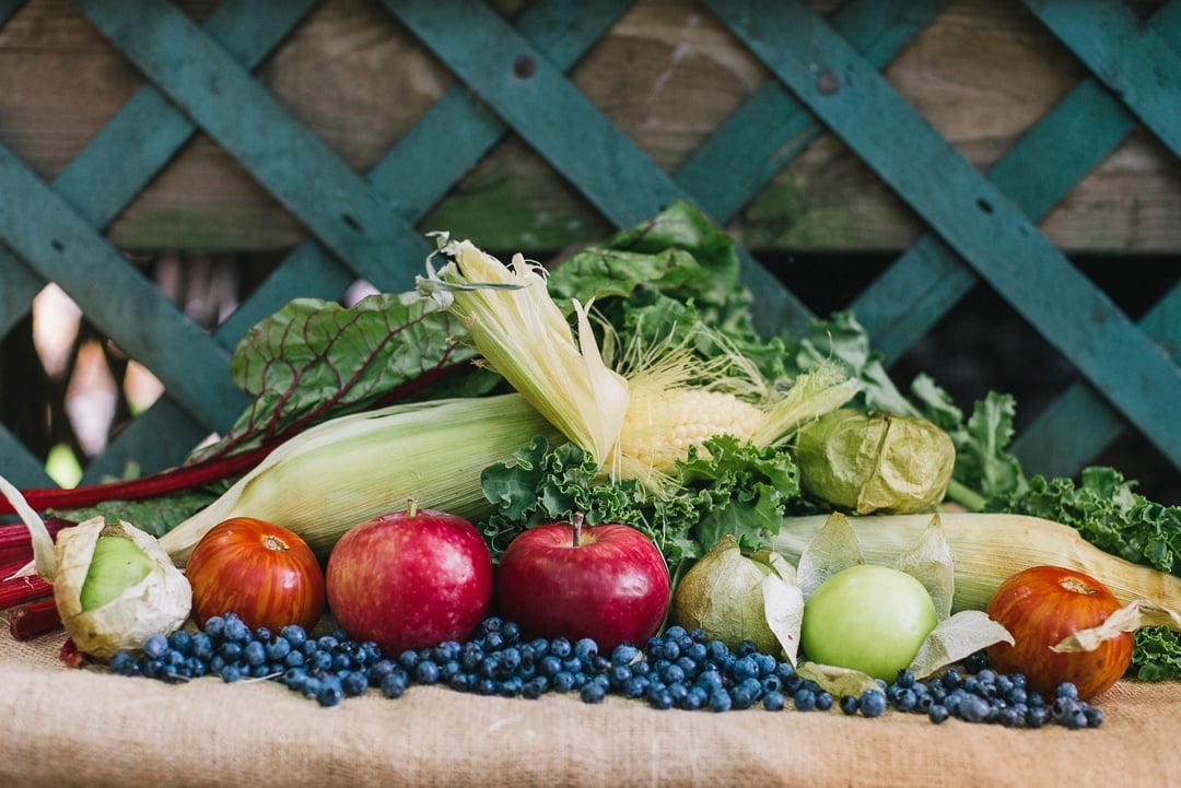 Boston Organics tweet media