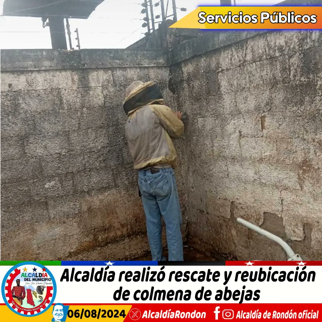 #6Ago 🐝🏡 Alcaldía realizó rescate y reubicación de colmena de abejas 

#ConDiosyElPuebloVamosPaLante
#PlanCiudadRondón
#LasMercedesdelLlanoGuáric
#JuanJoséRondón 
#LasMercedesDelLlano
#Guárico
#GuáricoProduce
#ChaoWhatsApp

instagram.com/p/C-VYy4IOmio/…