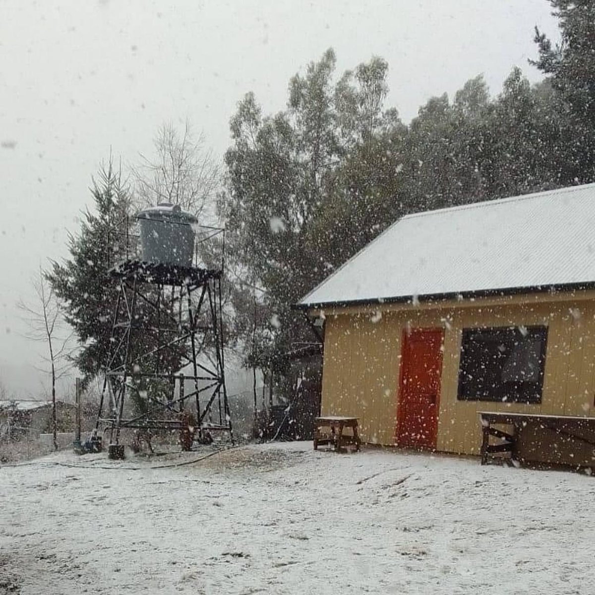 JonathanYanezG's tweet photo. ❄️☃️ En estos momentos se encuentra nevando en el sector rural de #LosCruceros en la comuna de #SantaJuana. https://t.co/aB65tRZiCn