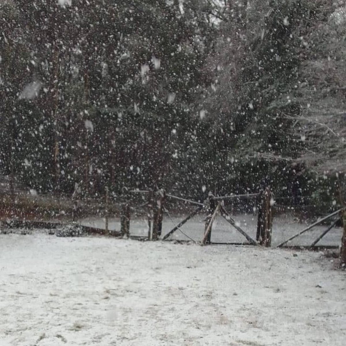 JonathanYanezG's tweet photo. ❄️☃️ En estos momentos se encuentra nevando en el sector rural de #LosCruceros en la comuna de #SantaJuana. https://t.co/aB65tRZiCn