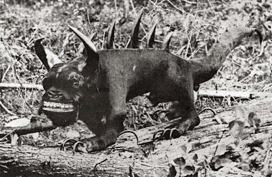 One Strange Thing Podcast tweet media