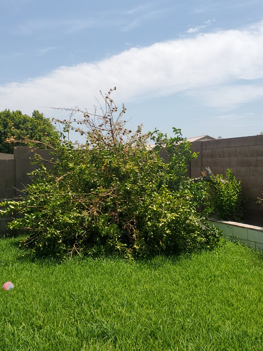 Becca Fox Author tweet media