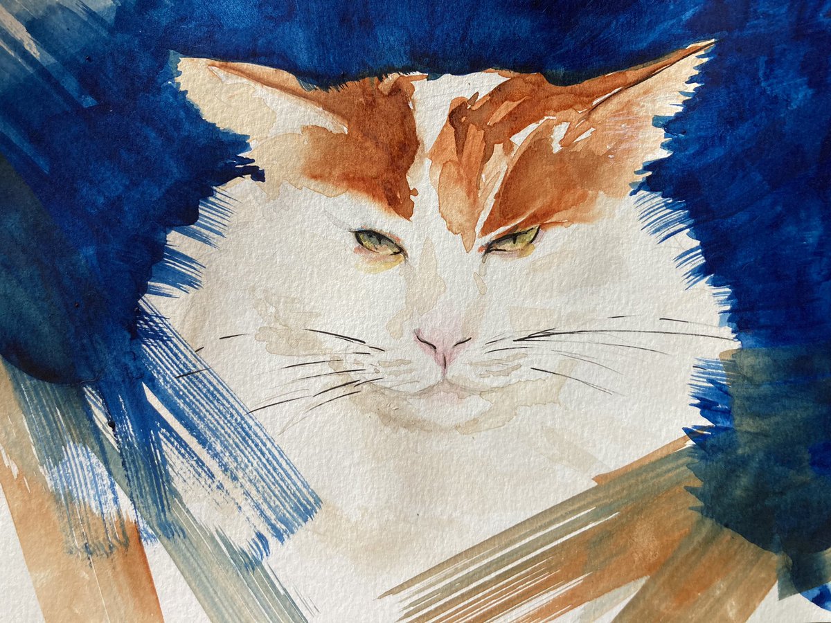 SHErlock 🔎🎀 🍋 ☃️ tweet media