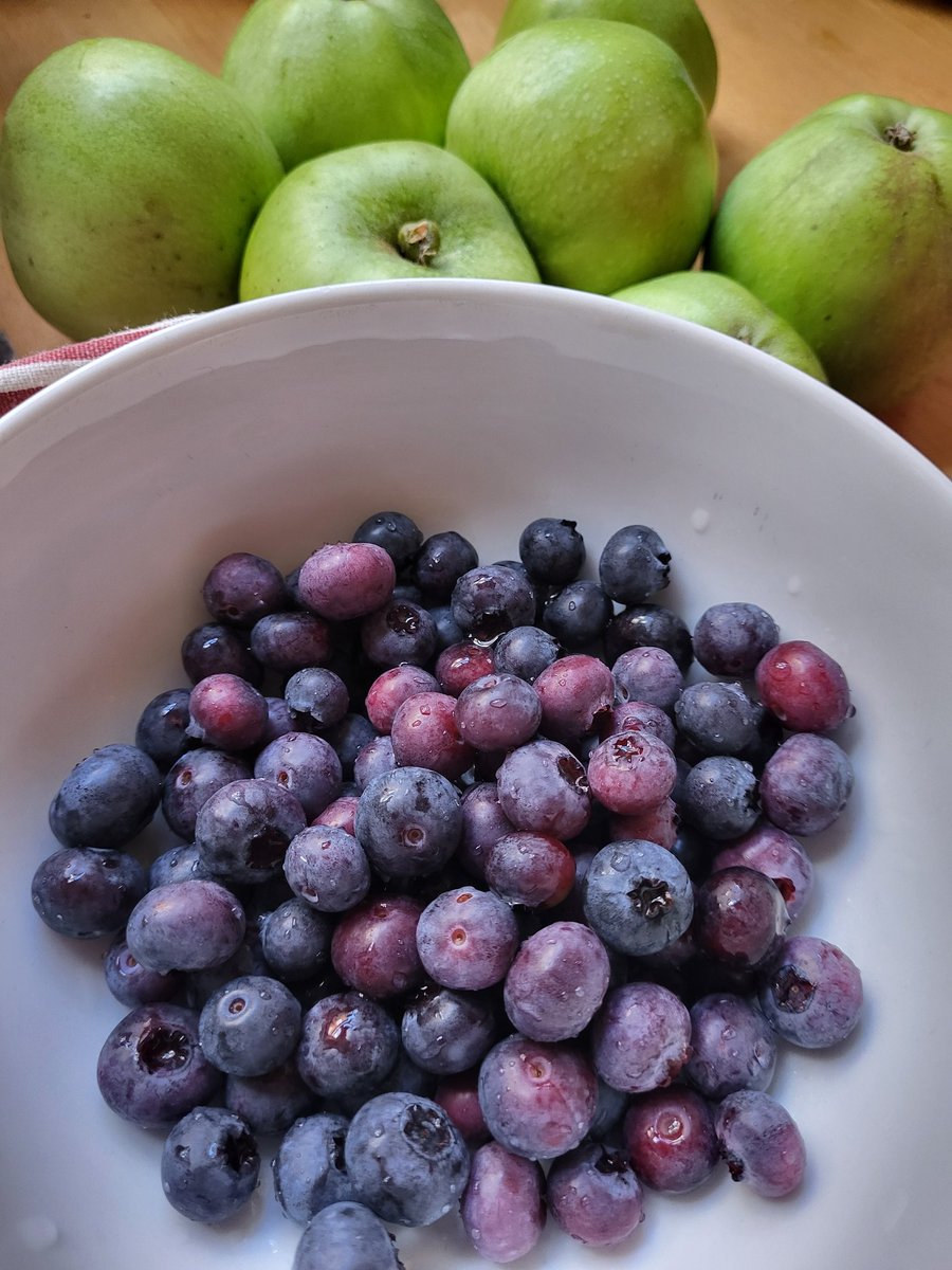 Joanne Fletcher 🏳️🌈🌱 tweet media