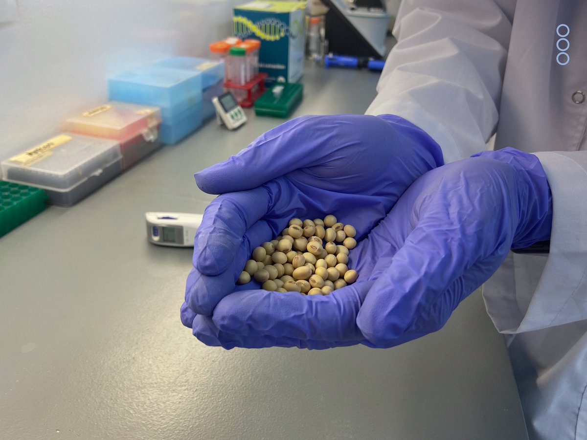 Ubatec SA tweet media