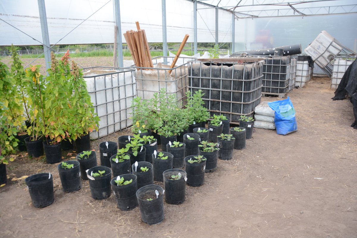 Ubatec SA tweet media