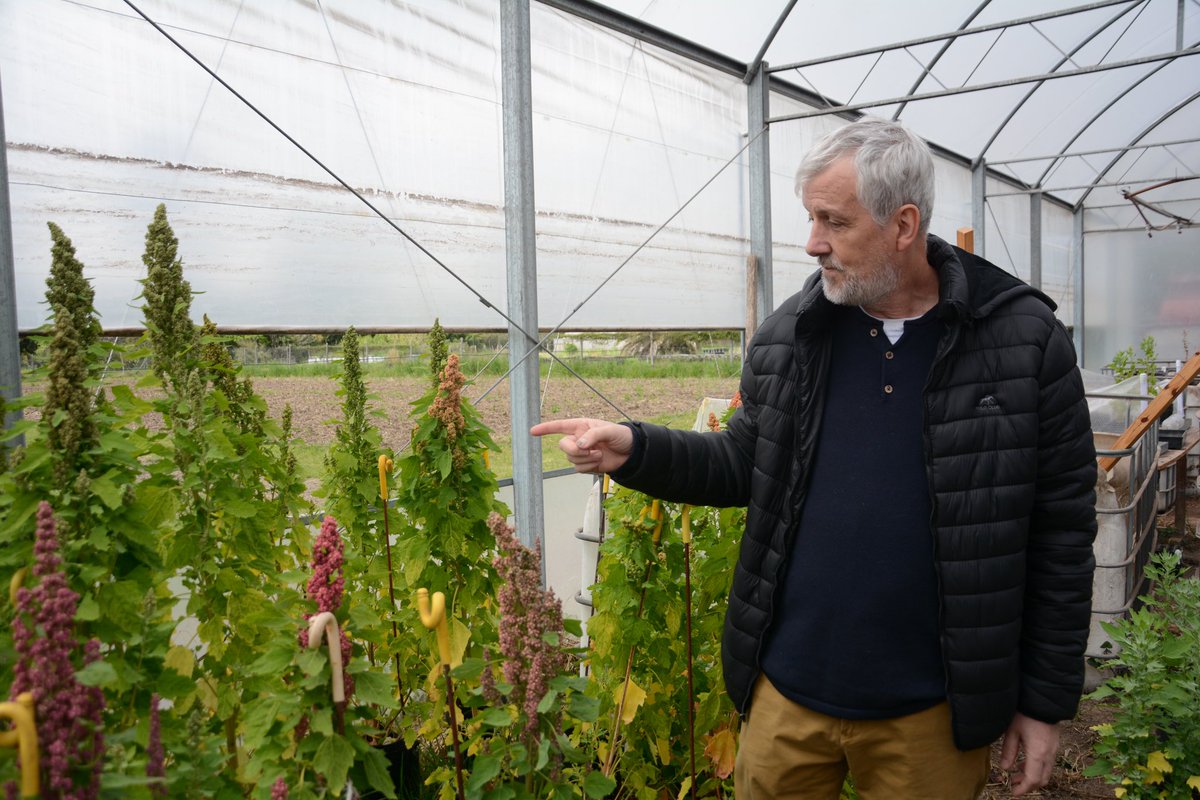 Ubatec SA tweet media