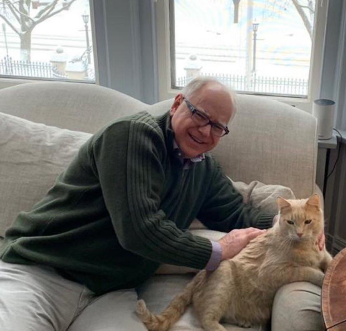 sfpelosi's tweet image. Our cats and couches are safe with #HarrisWalz 😻🇺🇸