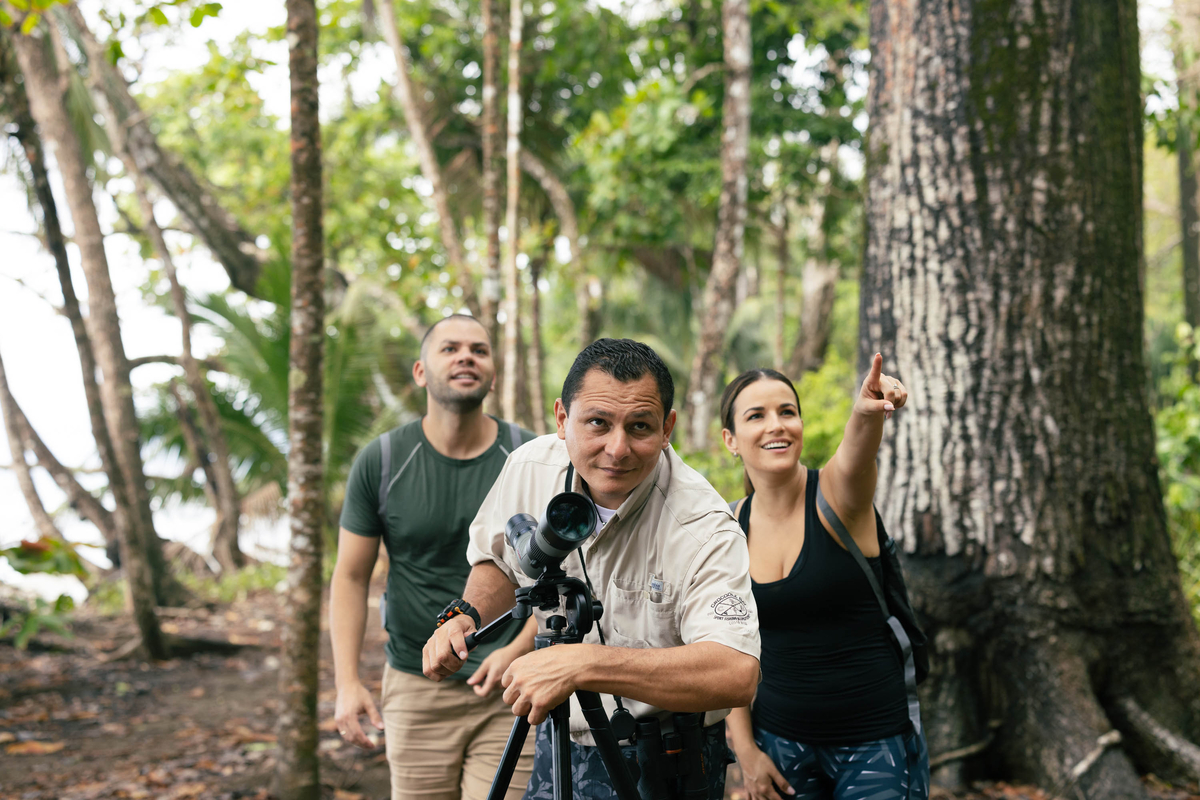 BotanikaResort's tweet photo. There's always a reason to look up in the Osa Peninsula. Meet the vibrant locals of the sky on @crocodilebay's extraordinary Bird Watching Tour. https://t.co/nFKJvbkU73