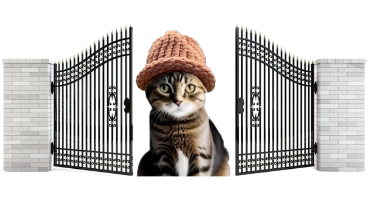 the gate has opened 🧢 gate.io/trade/CWIF_USDT