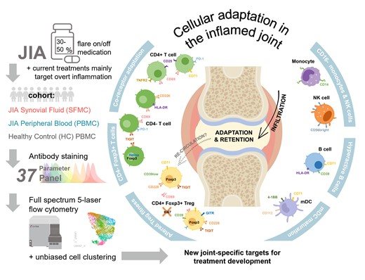 Waggoner Lab (@labwaggoner) on Twitter photo The immune landscape of the inflamed joint defined by spectral flow cytometry
<a href="/pesenacker_lab/">Pesenacker Lab</a> <a href="/meryl_attrill/">Meryl Attrill</a>
doi.org/10.1093/cei/ux… The immune landscape of the inflamed joint defined by spectral flow cytometry
<a href="/pesenacker_lab/">Pesenacker Lab</a> <a href="/meryl_attrill/">Meryl Attrill</a>
doi.org/10.1093/cei/ux…