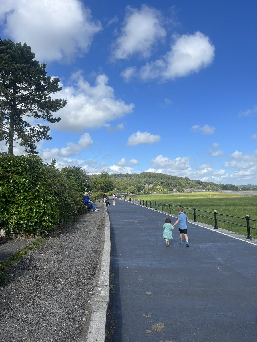 Mike Grey tweet media