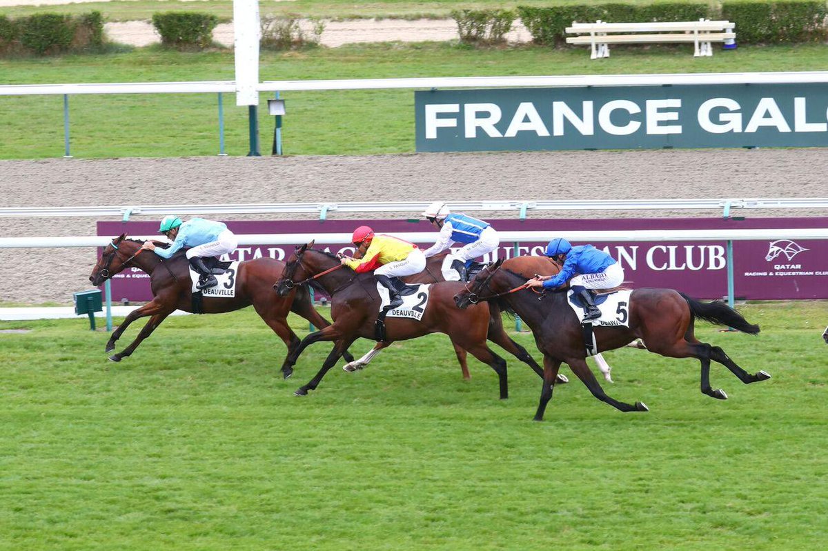 EcurieVivaldi's tweet photo. Notre 2 ans Golden Brown confirme à Deauville cet après-midi ses bons débuts cantiliens en prenant une excellente deuxième place d’un très bon maiden à l’issue d’une fin de course éblouissante. Bravo à son entraîneur Xavier Blanchet et à son jockey @Pasquito60s. https://t.co/rTVfBBz25p