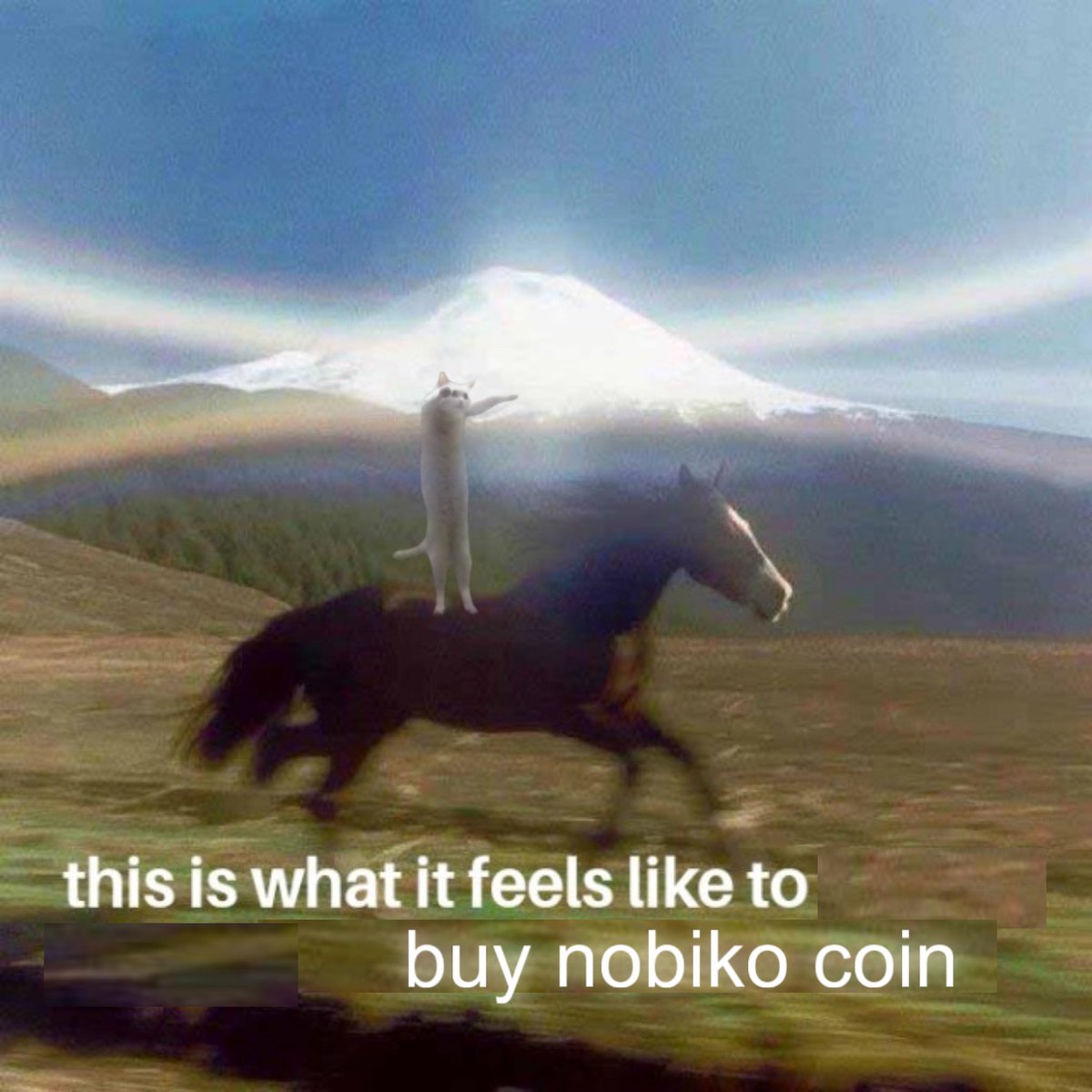 "I am cringe, but I am free"

- Nobiko