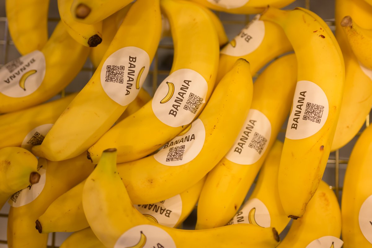 thebananation's tweet photo. D1 of TON Open Summit ends has ended!

2 more days to go so make sure to grab a banana tomorrow 🍌 https://t.co/d6sUtLo2QS