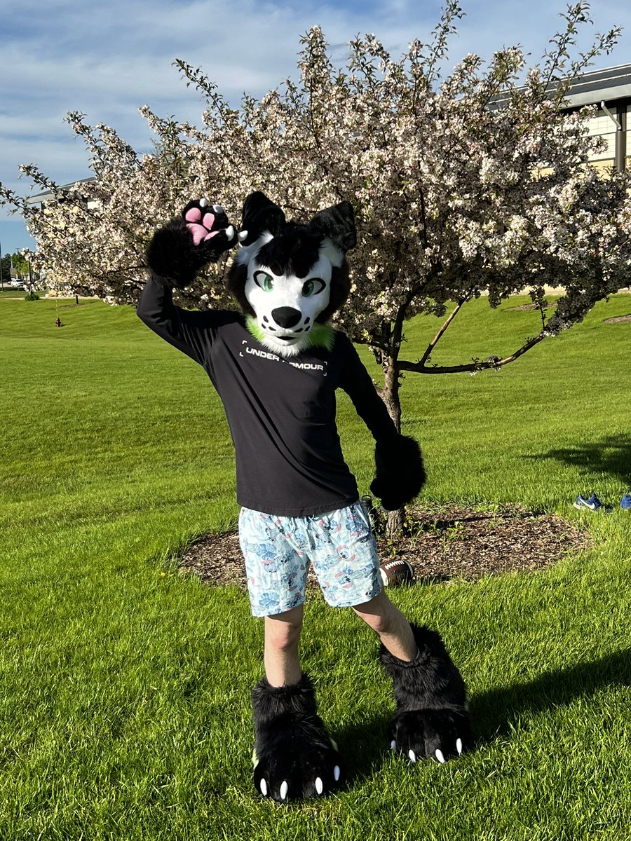 Hola this is what I currently have for my fursuit right now! Still unsure when the body suit and tail is coming, but figured it was about time I inform this app! 😅

Link to fursuit unboxing ⬇️

youtu.be/ulybg3RYbwI?si…