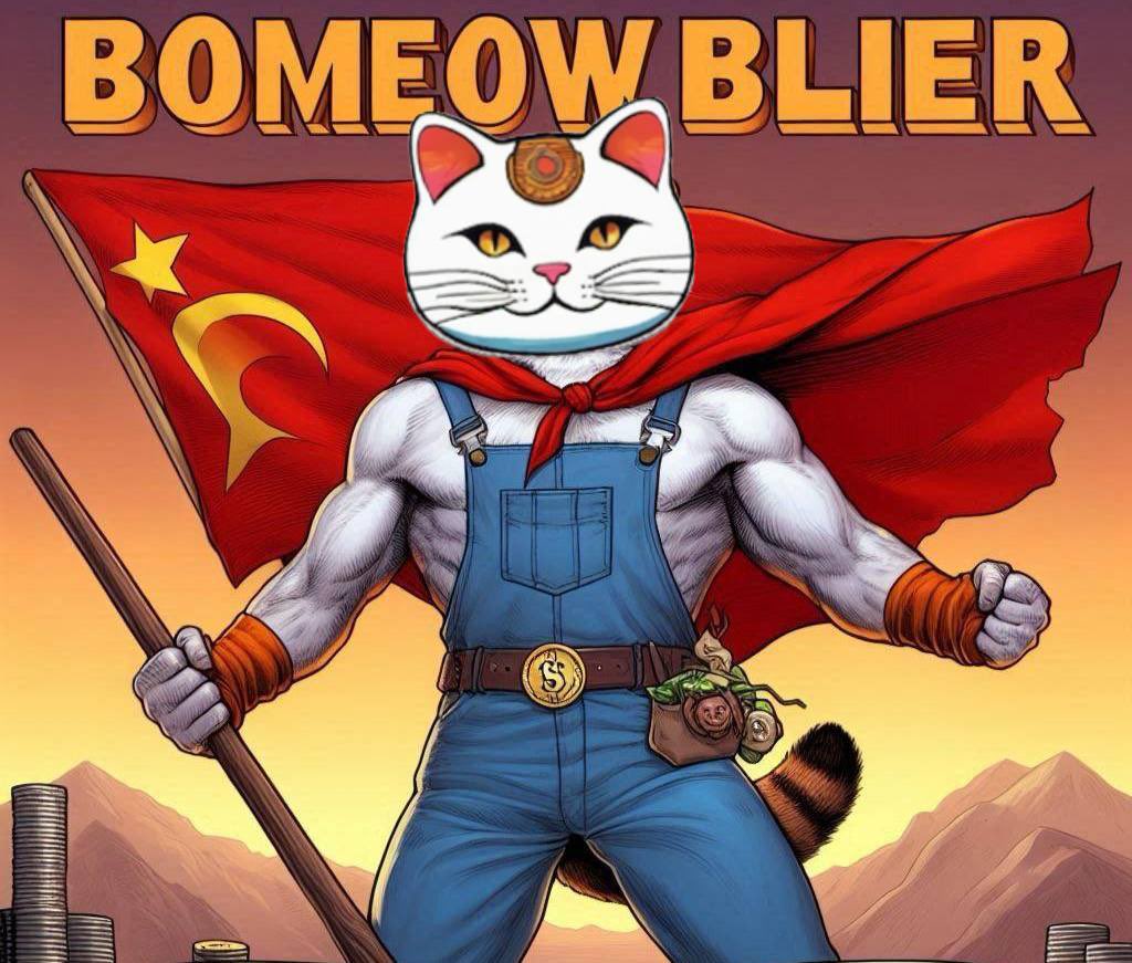 Book of Meow ($BOMEOW) (@Bomeow_solana) / Posts / X