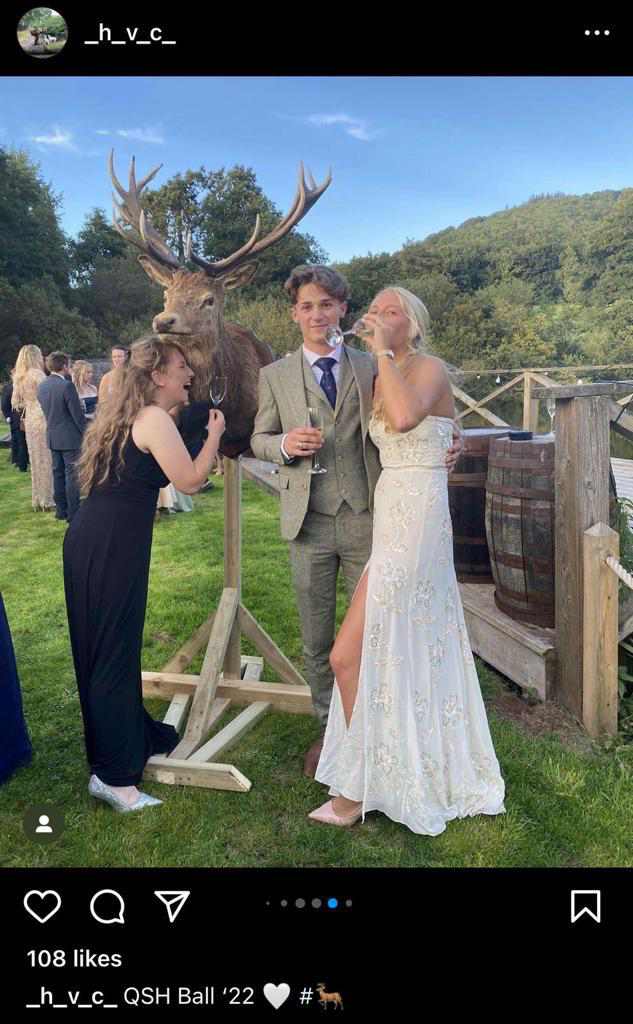 NDHuntSabs's tweet image. Will the Quantock Staghounds latest victim end up as a head on a stick to be mocked and raffled off at their summer ball again?