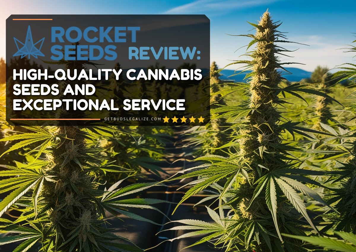 SacredSoundX's tweet photo. Discover why #RocketSeeds is a top choice for cannabis enthusiasts! π±π Check out our in-depth review on high-quality seeds and exceptional service. Don't miss it! π https://t.co/ecPkZysRyX #CannabisCommunity #SeedBank #CannabisSeeds #Review https://t.co/KBZPTtFQOl