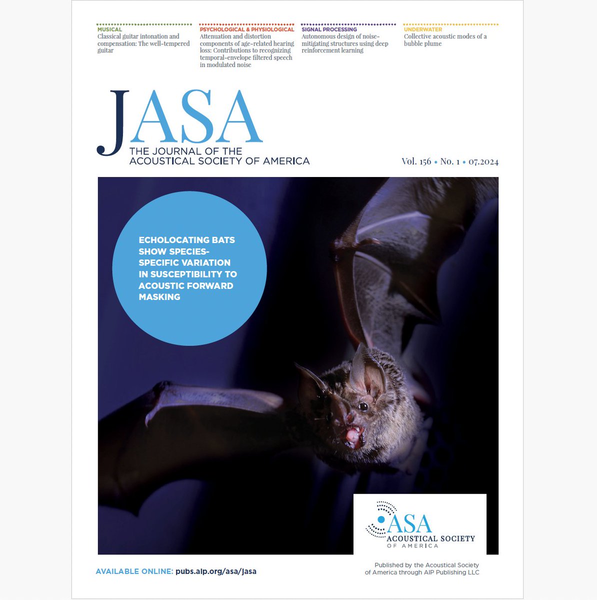 New cover! This fantastic bat photo comes from the featured article authors' lab. Read "Echolocating bats show species-specific variation in susceptibility to acoustic forward masking" for free this month! doi.org/10.1121/10.002…

<a href="/grace_capshaw/">Grace Capshaw</a> @LauerLab <a href="/cadiebold/">Clarice Diebold</a>
