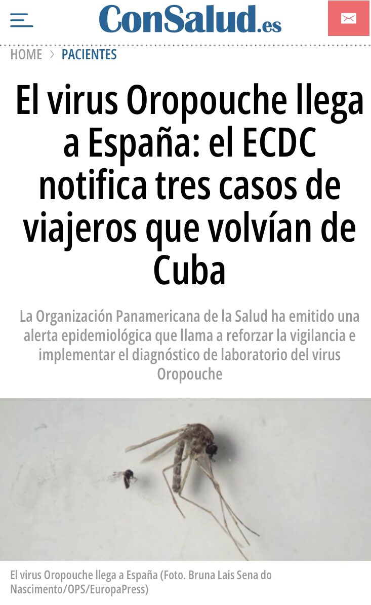 🦠 Ya tenemos los primeros casos importados del virus #Oropouche en #España: a trabajar en la prevención 💨🦟
#Arbovirus #ControlVectorial #Zoonosis
consalud.es/pacientes/viru…